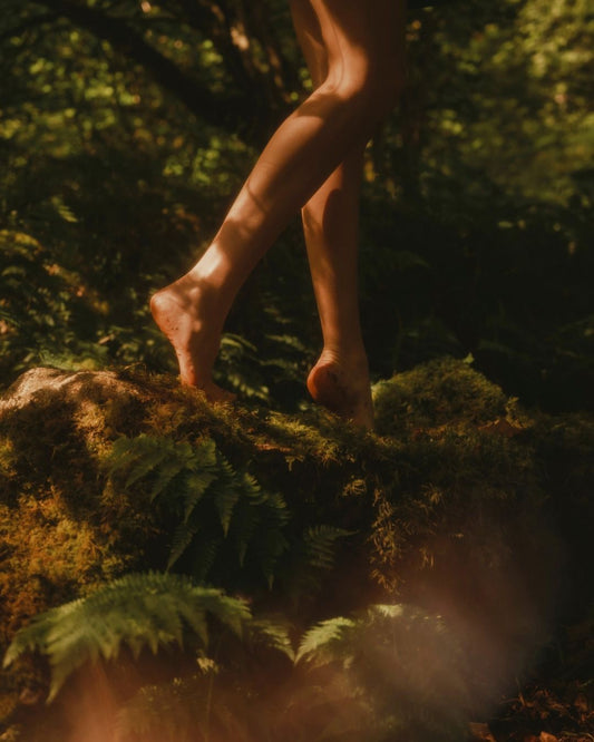 À Pas De Loup