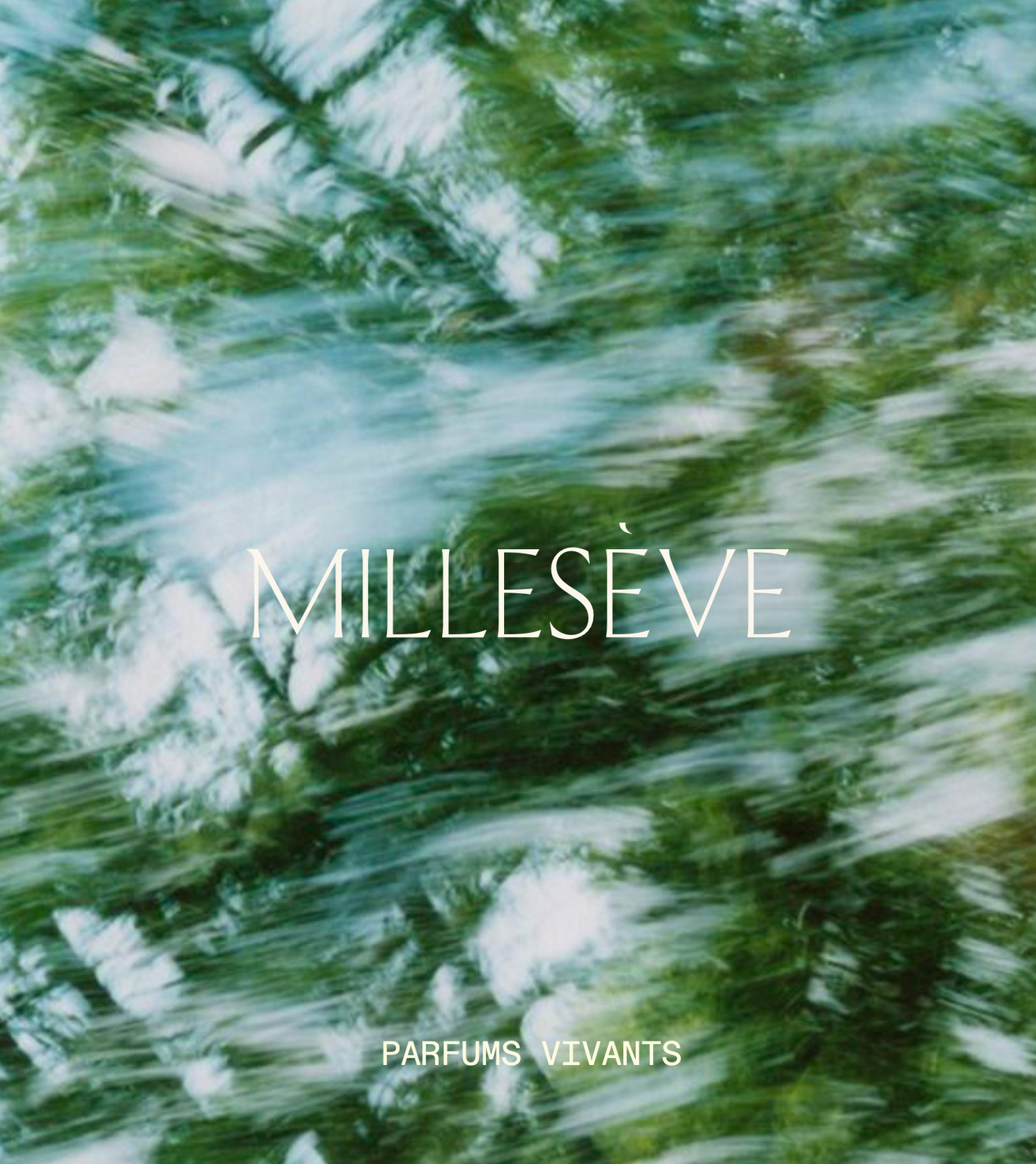 L'Enveloppe Découverte - La Collection Millesève