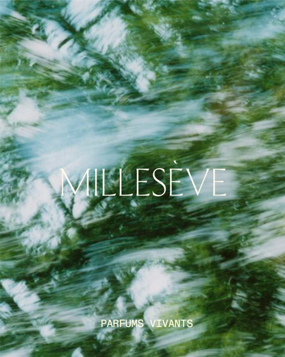 L'Enveloppe Découverte - La Collection Millesève
