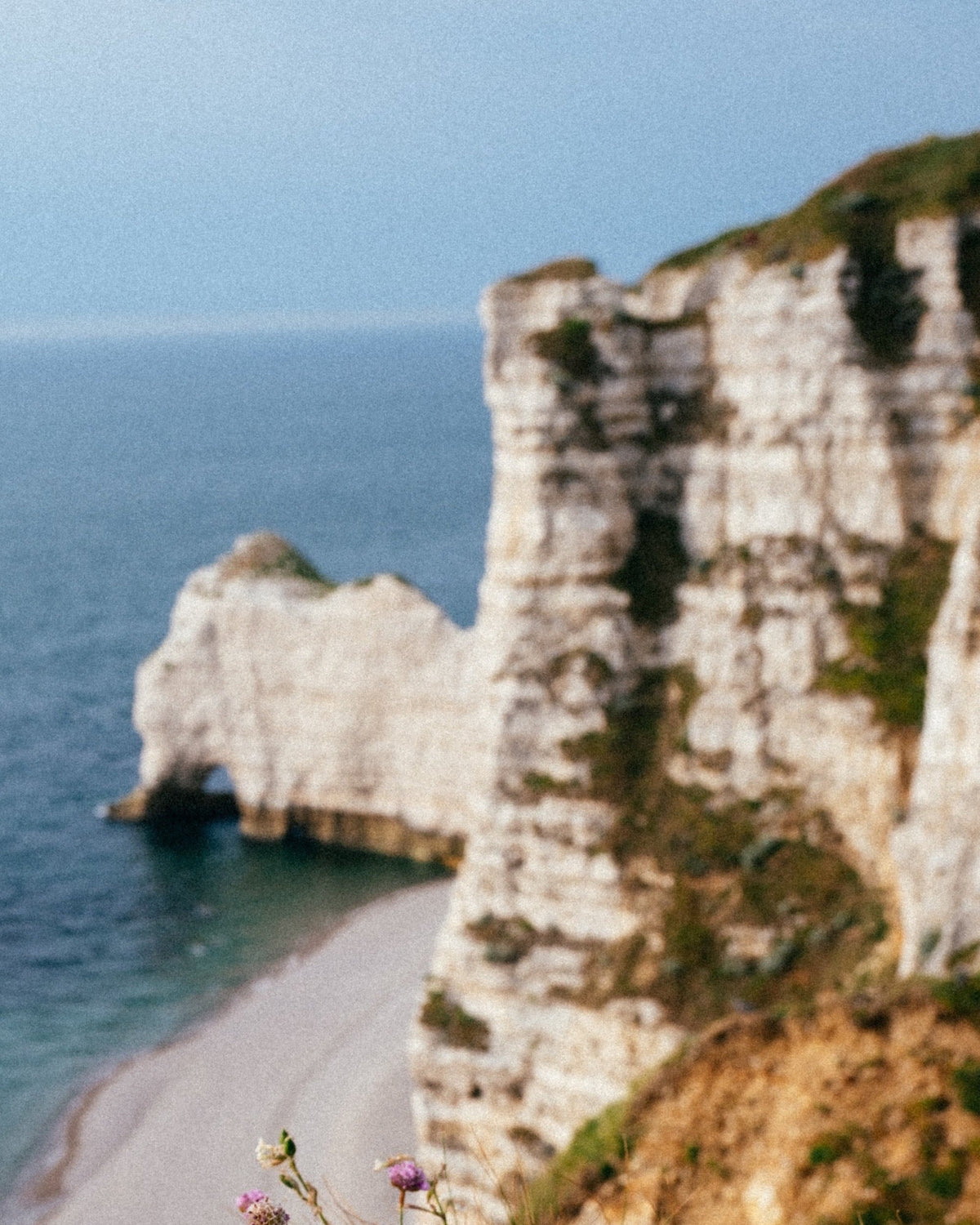 Falaise 49.5°N